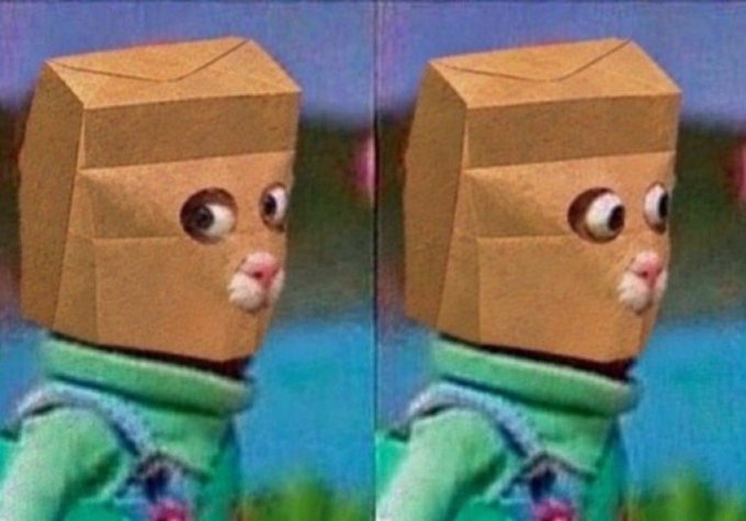 The image shows a side-by-side comparison of a person wearing a paper bag over their head with googly eyes and a cat mouth drawn on, wearing a green hoodie against a teal background. The image, often used as a meme to represent questionable financial decisions or hiding one's identity, humorously ties into the post about the speculative $ZCAT meme coin, suggesting the poster is hiding in shame while promoting a potentially dubious Solana token investment.