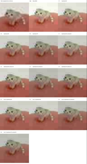 A grid of twelve identical thumbnail images showing a small kitten on a pink surface, labeled as “Microplasticfortuna reference."