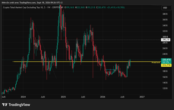 A TradingView chart on a 1W timeframe showing the Crypto Total Market Cap Excluding Top 10 (CRYPTOCAP) at 193.21B, up 10.76%, with a critical horizontal level marked at 213.77B.