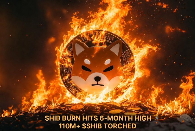A Shiba Inu coin engulfed in flames illustrates the news that SHIB burn hit a six-month high with 110M+ tokens torched, as stated in the bold text overlay reading "SHIB BURN HITS 6-MONTH HIGH" and "110M+ $SHIB TORCHED." The fiery imagery visually reinforces the post's theme of the recent spike in weekly burns reaching 152 million SHIB, despite the relatively small impact on supply.