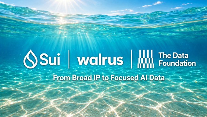 A bright ocean graphic shows the logos and text “Sui | walrus | The Data Foundation,” with the tagline “From Broad IP to Focused AI Data.”