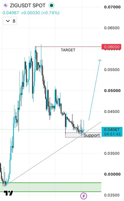 A ZIGUSDT candlestick chart shows the price testing a "Support" level around 0.04067 with a projected "TARGET" line at 0.06050, illustrating a bullish setup where the post's author is accumulating the altcoin at this key support zone in anticipation of an upward move.