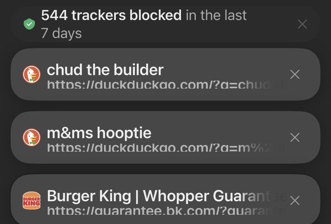 A privacy/tracker blocker interface shows "544 trackers blocked in the last 7 days," with a recent search history that includes the entries "chud the builder," "m&ms hooptie," and "Burger King | Whopper Guarantee" at duckduckgo.com—seemingly supporting the "totally normal guy" caption with quirky, random browsing activity.