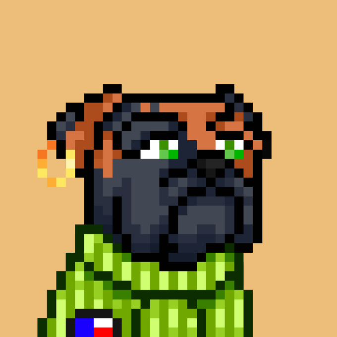 A pixel art image featuring a black dog with green eyes wearing a green military-style outfit.