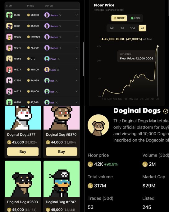 A cryptocurrency marketplace interface called 'Doginal Dogs' showing pixel art dog NFTs for sale, with a floor price chart displaying 42,000 DOGE ($2,925).