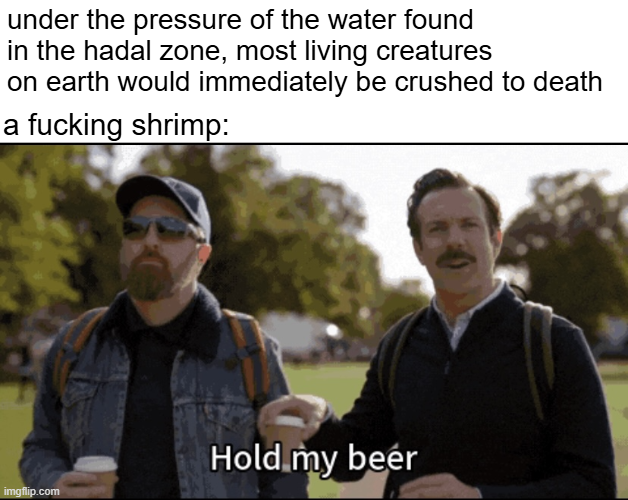 A 'Hold my beer' meme featuring two men outdoors, with text explaining that under hadal zone pressure, most creatures would be crushed to death except for 'a fucking shrimp'.