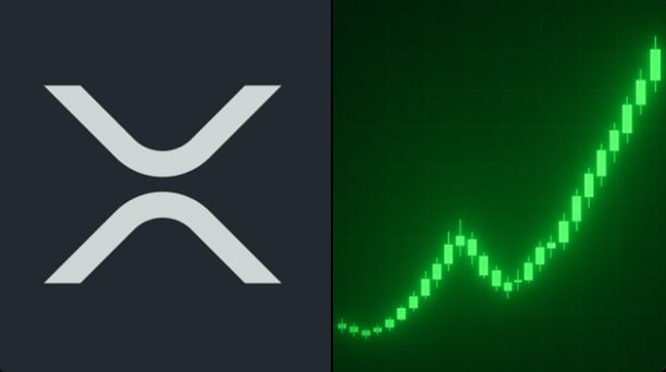 A split image showing the XRP logo on the left and a green candlestick chart on the right, visually reinforcing the post's claim that institutional investors (Bitwise ETF) are quietly accumulating XRP with a notable $6.55 million purchase, while the green upward chart suggests bullish price momentum.