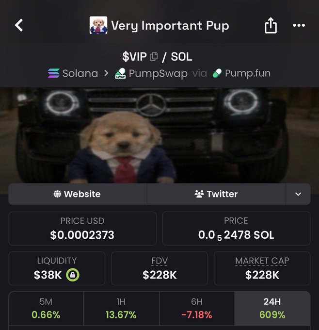 A trading interface displays 'Very Important Pup' ($VIP/SOL) token on Solana/PumpSwap via Pump.fun, showing a dog in a suit in front of a Mercedes, priced at $0.0002373 USD with $38K liquidity and $228K market cap.