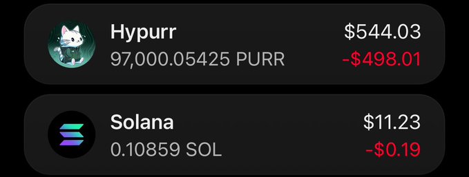 A screenshot of a crypto wallet showing two assets: "Hypurr" with 97,000.05425 PURR valued at $544.03 (-$498.01), and "Solana" with 0.10859 SOL valued at $11.23 (-$0.19). The image illustrates the post's story of someone unexpectedly receiving $500 worth of the meme token PURR from a stranger.