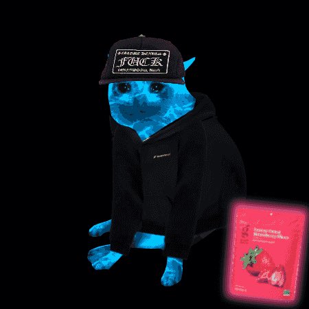 An image of a blue-tinted cat wearing a black cap and hoodie with 'PEACE and PUNK' text, sitting next to a red card with strawberries.