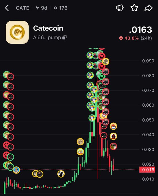 A trading chart shows Catecoin (CATE) at $0.0163, down 43.8% in 24 hours, with a candlestick pattern depicting a sharp decline from peaks around $0.090 following a brief parabolic pump. The image directly relates to the post by illustrating the steep 24-hour drop and helping visualize where support might form as the price searches for a bottom.