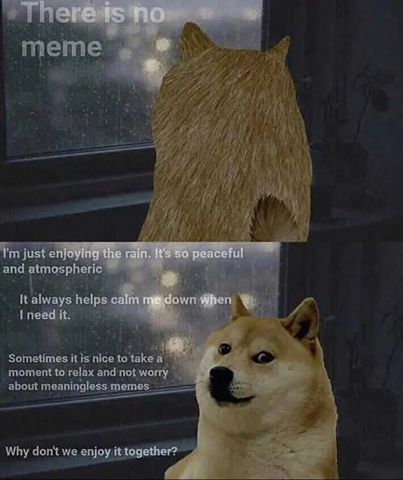 The image shows a collage of two posts, one with a picture of a dog looking out a window at rain and another with a quote about enjoying the rain. The first post has a caption that reads "There's no meme", while the second post has a caption that says "I'm just enjoying the rain. It's so peaceful and atmospheric. It always helps me down when I need it."