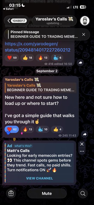 A screenshot of a Telegram channel named "Yaroslav's Calls" with a pinned message titled "BEGINNER GUIDE TO TRADING MEME..." containing a link and text welcoming new members, plus a sponsored ad for "Matt's Calls" about memecoin trading.