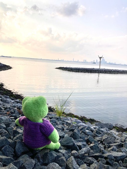 A small green knitted teddy bear wearing a purple sweater sits on rocky shoreline, gazing out at calm water toward a distant city skyline at sunset.