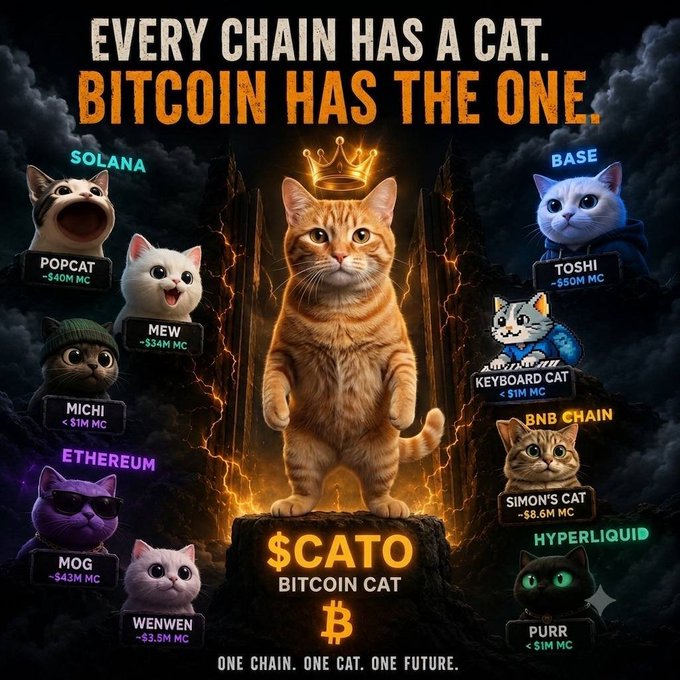 A dramatic promotional image titled "EVERY CHAIN HAS A CAT. BITCOIN HAS THE ONE," featuring a crowned ginger cat ($CATO / Bitcoin Cat) standing on a fiery throne, surrounded by rival cat tokens from other chains: POPCAT (Solana), MEW, MICHI, MOG, WENWEN (Ethereum), TOSHI, KEYBOARD CAT (Base), SIMON'S CAT (BNB Chain), and PURR (Hyperliquid), each labeled with market caps. The visual reinforces the post's message by positioning $CATO as Bitcoin's flagship cat token, mirroring the "one cat per chain" trend across ecosystems while arguing early attention on Bitcoin-native assets like #RGB and $CATO will prove pivotal before the wider market catches on.