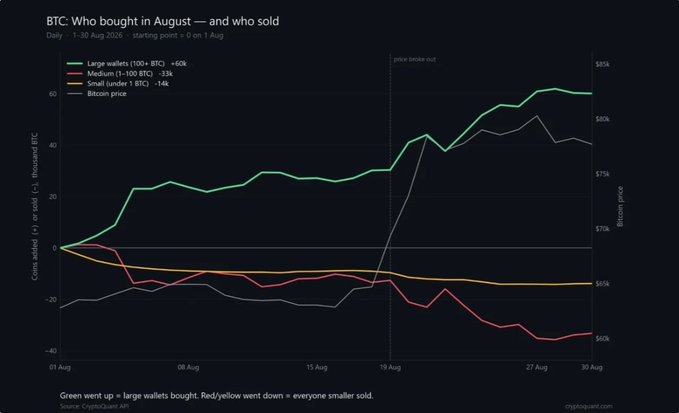 A line chart titled 'BTC: Who bought in August — and who sold' tracks daily Bitcoin activity from August 1-30, 2026, showing large wallets (100+ BTC) up 60k, medium (1-100 BTC) down 33k, and small (under 1 BTC) down 14k. Source: CryptoQuant API via cryptoquant.com.