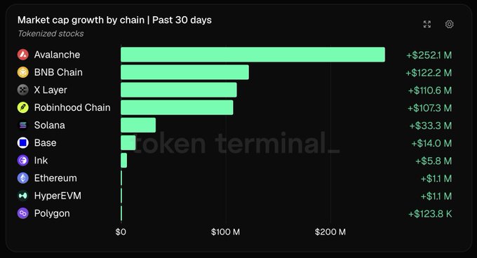 Bar chart titled 'Market cap growth by chain | Past 30 days' for Tokenized stocks, showing Avalanche leading with +$252.1 M, followed by BNB Chain (+$122.2 M), X Layer (+$110.6 M), Robinhood Chain (+$107.3 M), Solana (+$33.3 M), Base (+$14.0 M), Ink (+$5.8 M), Ethereum (+$1.1 M), HyperEVM (+$1.1 M), and Polygon (+$123.8 K), with a 'Token Terminal_' watermark.