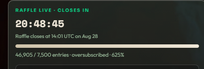 A raffle countdown timer shows 20 hours, 48 minutes, and 45 seconds remaining until closing at 14:01 UTC on August 28, with 46,905 out of 7,500 entries oversubscribed at 625%, highlighting the extremely competitive odds the user faces in trying to win an NFT from Blokyz.