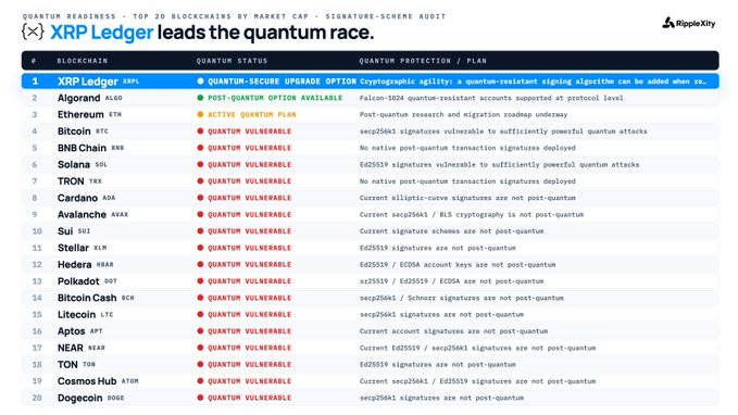 The image displays Ripple's "Quantum Readiness - Top 20 Blockchains by Market Cap" audit chart, ranking XRP Ledger (#1) as having a "Quantum-Secure Upgrade Option" while Algorand (#2) shows "Post-Quantum Option Available," with the remaining 18 blockchains—including Ethereum, Bitcoin, BNB Chain, Solana, and TRON—all flagged as "Quantum Vulnerable." This visually supports the post's claim that XRP Ledger is leading the quantum race among major cryptocurrencies.