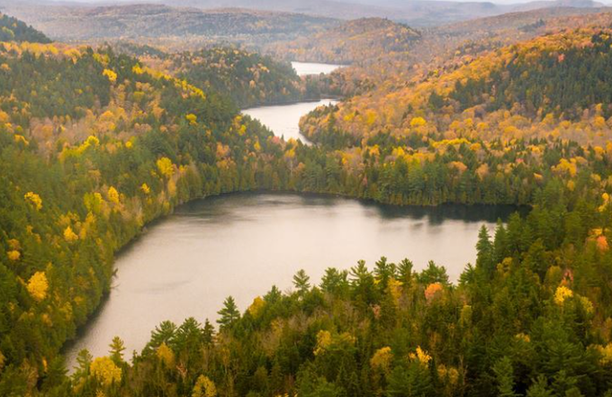 An aerial view of a serene lake winding through a vast forest displaying vibrant autumn colors of green, yellow, and orange under a hazy sky.