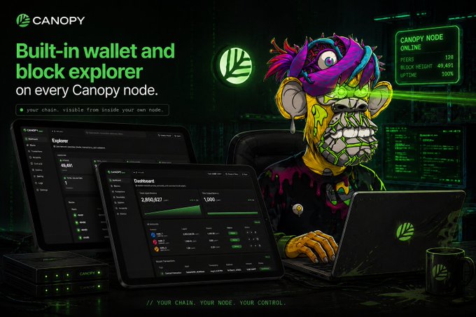 Promotional image for Canopy featuring a green-themed character at a computer, highlighting 'Built-in wallet and block explorer' with the tagline 'your chain, visible from inside your own node' and a node status display reading 'PEERS 128, BLOCK HEIGHT 49,491, UPTIME 100%'.