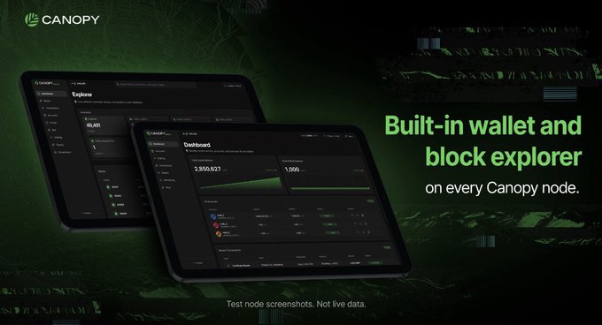 A promotional graphic for Canopy showing tablet screens displaying a dashboard and explorer interface, with text reading 'Built-in wallet and block explorer on every Canopy node.'