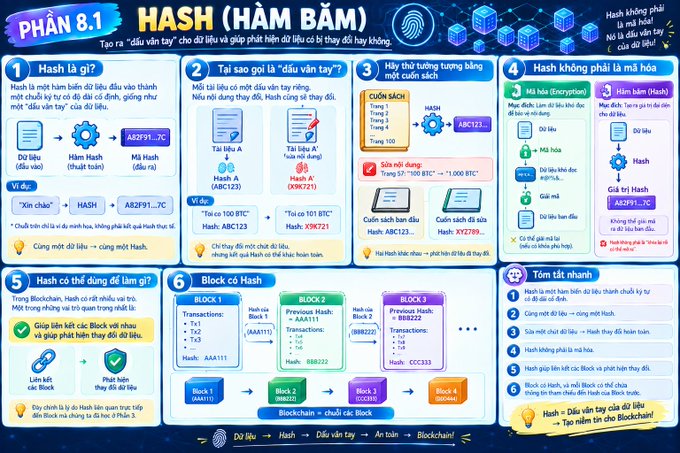 An infographic titled 'PHẦN 8.1 HASH (HÀM BĂM)' explaining the concept of hashing in blockchain, covering what it is, why it's called a 'digital fingerprint,' avalanche effect with examples like ABC123 and X9K721, encryption vs. hashing, and block formation using transaction hashes.