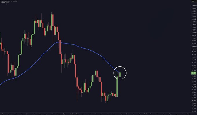 A weekly Bitcoin (BTC/USD) chart from Bitstamp on Coinbase shows BTC price action testing the 50-week moving average (blue line), with a circled green candle near the $82,000 level attempting a breakout above the indicator.