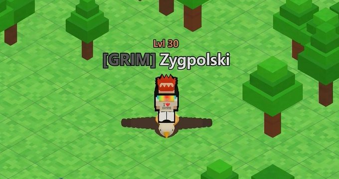 A pixel-art game screenshot showing a character named '[GRIM] Zygpolski' at level 80 flying over a green landscape with trees.