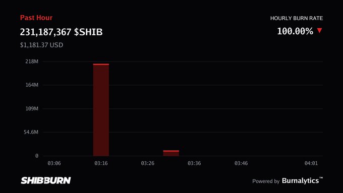 SHIB burn rate dashboard from ShibBurn showing 231,187,367 $SHIB tokens ($1,181.37 USD) burned in the past hour at a 100.00% hourly burn rate, visualized as a bar chart with the largest spike occurring around 03:16.