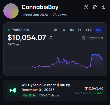 A trading dashboard screenshot shows a user 'CannabisBoy' with $10,054.07 profit/loss on Polymarket, including a position on whether Hyperliquid will reach $100 by December 31, 2026.