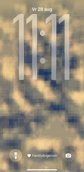 A smartphone lock screen displaying the time '11:11' on Friday, August 28th, with the wallpaper 'Familydogecoin' selected.