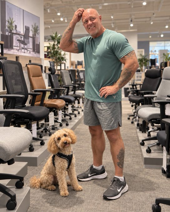 A bald man in a teal athletic shirt and gray shorts stands with his hand on his head next to a small curly-haired dog wearing a harness in an office chair showroom.