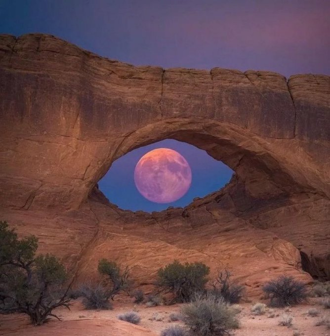 A stunning landscape photograph of a large reddish rock arch formation framing a pink/purple moon against a twilight purple sky, with desert vegetation in the foreground.