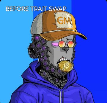 An NFT character wearing a "GM" hat and holding a Bitcoin coin is labeled "BEFORE TRAIT SWAP."
