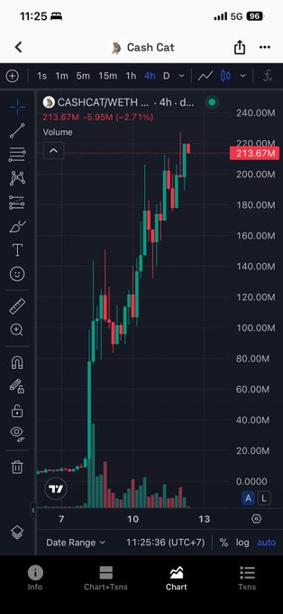 A trading chart for 'CASHCAT/WETH' (Cash Cat) showing a price of 213.67M with significant upward momentum.