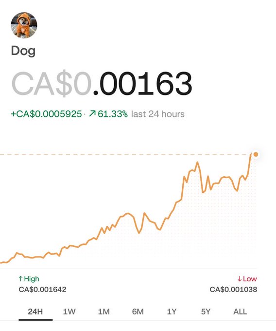 A cryptocurrency price chart for 'Dog' (CA$) shows a current price of CA$0.00163, up 61.33% in the last 24 hours, with a generally upward trending orange line graph.