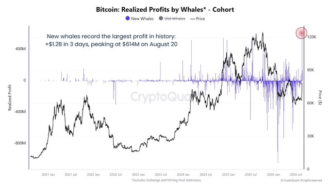 A CryptoQuant chart titled 'Bitcoin: Realized Profits by Whales* - Cohort' showing New Whales and Old Whales realized profits with price overlay, highlighting 'New whales record the largest profit in history: +$1.2B in 3 days, peaking at $614M on August 20' near the $120K price mark.