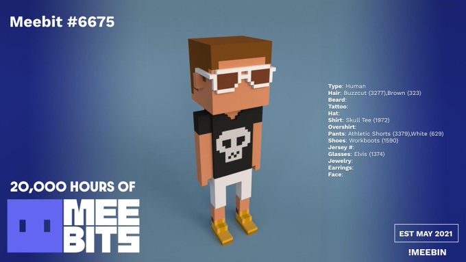 Promotional image for Meebit #6675, a 3D voxel-style character with a skull shirt, white glasses, and white pants, featuring details like 'Type: Human', 'Hair: Buzzcut', 'Shirt: Skull Tee', and 'Shoes: Workboots', with '20,000 HOURS OF MEEBITS' and 'EST MAY 2021' text.