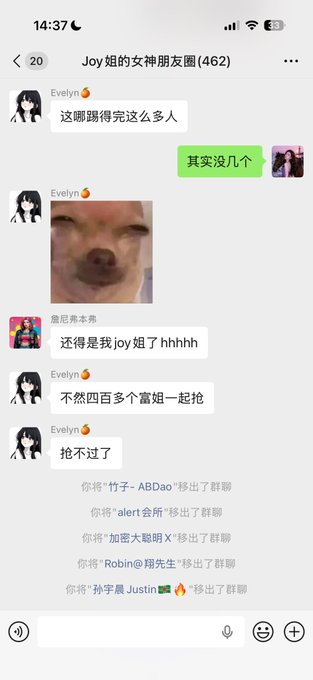 A WeChat group chat screenshot shows user Evelyn (Joy) noting it was surprisingly easy to kick 462 members from her "女朋友圈" (girlfriends circle), with system messages showing users like "竹子-ABDao," "alert," "加密大聪," "Robin," and "孙子 Justin" being removed from the group. The post humorously references this "arrogant" mass removal of male members to create a female-only space for gossiping about the bear market.