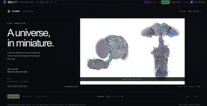 A webpage from Solgpt featuring 'CLAWD / FLYB NOTES' with the headline 'A universe, in miniature' and colorful 3D brain map visualizations.