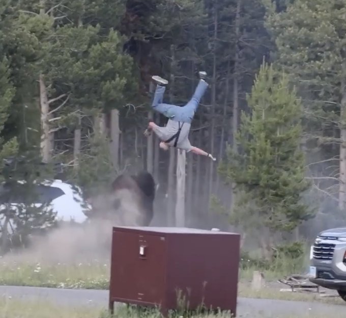 A person in jeans and a gray shirt is captured mid-air upside down after an apparent crash with a bear on a rural road, with dust rising and a metal box in the foreground.