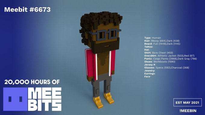 A voxel-style 3D character called 'Meebit #6673' displayed on a blue gradient background, with branding '20,000 HOURS OF MEEBITS' and 'EST MAY 2021' by IMEEBIN.