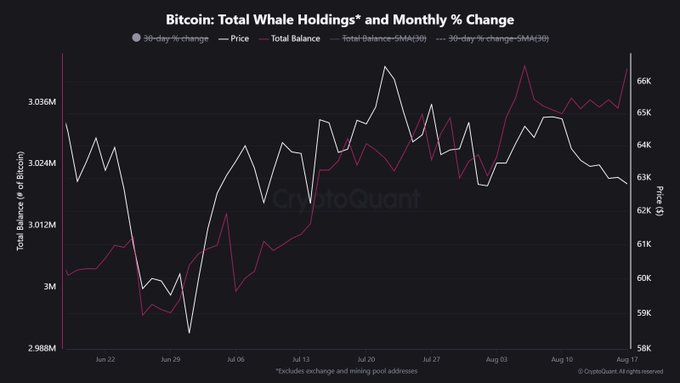 A line chart titled "Bitcoin: Total Whale Holdings and Monthly % Change" from CryptoQuant shows whale Bitcoin holdings (pink line) climbing from approximately 3M to over 3.036M BTC between mid-June and mid-August, while price (white line) trended down from ~$66K to ~$63K—visually confirming the bullish claim that whales accumulated ~$2.64B worth of BTC on the dip.