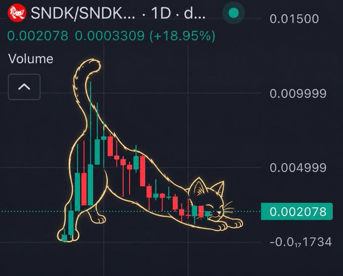 A candlestick chart of ticker $SNDK shows a daily price of $0.002078, up 18.95%, overlaid with a yellow outline of a cat arching its back and crouching—mirroring the "survived the bear" caption by visually combining the bearish price decline with a cat surviving and preparing to pounce, fitting the "perfect pair" framing.