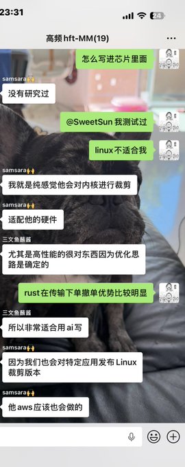 A screenshot of a Chinese-language chat group titled "高频hft-MM(19)" displays a conversation about AI's capability to write code into chips, with messages discussing Linux optimization and Rust's advantages in transmission, fitting the post's theme about AI-driven chip coding.