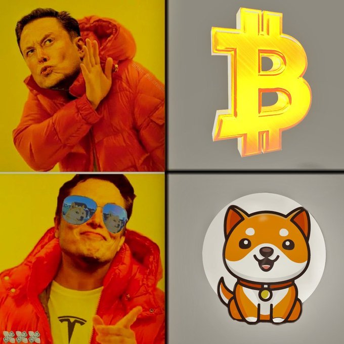 A meme featuring Elon Musk with Doge faces in sunglasses, paired with Bitcoin and Dogecoin logos in a four-panel layout.