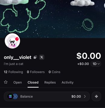 The image shows a profile page for user "only__violet" with the bio "i'm just a cat" displayed alongside the username, featuring a pixel cat avatar, $0.00 balance, and 0 followers/coins stats on what appears to be a social trading app. The caption humorously connects to the post by showing the perfect "exit liquidity" starter profile—brand new, no followers, and zero funds—just like someone ready to begin trading memecoins with nothing to lose.