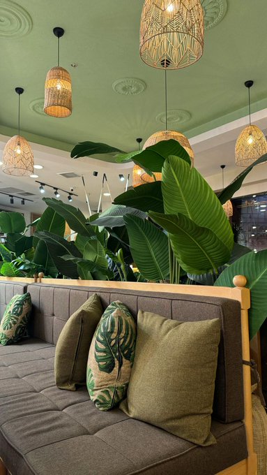A cozy interior featuring a gray sofa with tropical leaf-patterned pillows, surrounded by large green plants under woven pendant lamps hanging from a sage green ceiling.