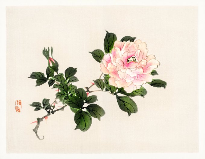 A traditional East Asian watercolor painting of a pink peony blossom on a branch with green leaves, featuring a red artist's seal in the bottom-left corner.